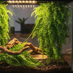 Reptile Plants Hanging Fake Vines Boston Climbing Terrarium Plant with Suction C