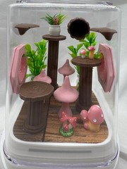 Acrylic Pink Pad Jumping Spider Terrarium – Cute Home Enclosure
