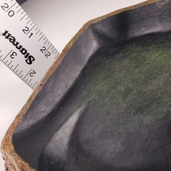 Thrive Habitat Decor Reptile Bowl NEW xl