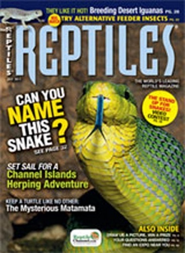 LIMITED STOCK: REPTILES – BACK ISSUE JULY 2011