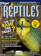LIMITED STOCK: REPTILES – BACK ISSUE JULY 2011