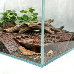 Brown Hermit Crab Cave Hideout 3in1 Underground Tunnel Climbing Toys Reptile