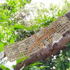 3 Pieces Bearded Dragon Hammock Reptile Hammock Lizard Climbing Lounger with …