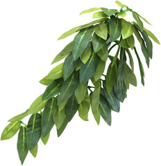 Planta colgante reptil terrario seda con ventosa 12pulg verde decoracion lagarto