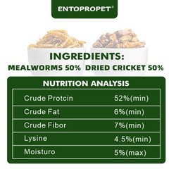 Dried Mealworms and Dried Crickets – Higher in Calcium and Richer in Protein-…