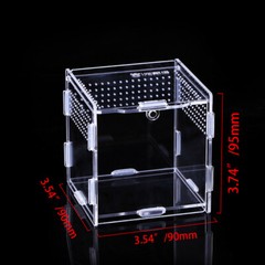 Clear Reptile Feeding Insect Box Acrylic Container Lizards Spider Breeding Case