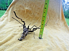 NATURAL SPIDER LIKE ROOT WOOD REPTILE TERRARIUM DECORATION ART GARDEN PET FLORAL