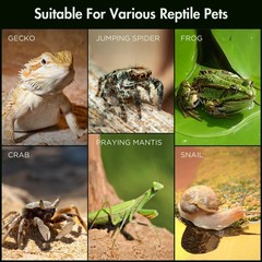 Jumping Spider Enclosure Acrylic Habitat Magnetic Door 3.5×3.5×7 Vent