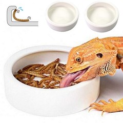 HELIME Reptile Food Dish Bowl, 2 Pack Worm Water Small-2Pack, White