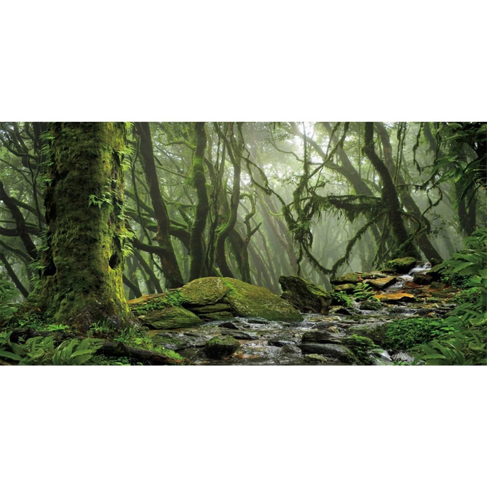 AWERT Tropical Forest Terrarium Background Stream Green Huge Tree Reptile Hab…