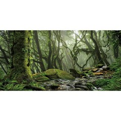 AWERT Tropical Forest Terrarium Background Stream Green Huge Tree Reptile Hab…