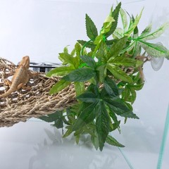 Lightweight 12-Inch Silk Terrarium Plant – Ideal for All Reptiles & Amphibians