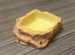 Reptile water/feeder bowl