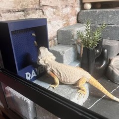 Repti-Feed, Reptile feeder, customizable / personalized, WITH NAMES, Magnetic