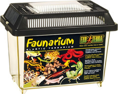 Faunarium Small PT2255 – Plastic Reptile Terrarium and Transport Container for L