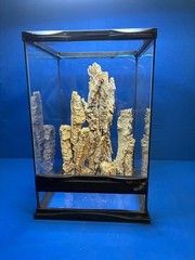 Reptile Orchid Succulent Air Plant Terrarium Wood Bark 5 Piece