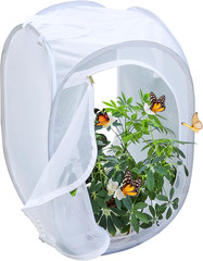 Pop-Up Insect and Butterfly Habitat Cage Terrarium Clear Mesh Enclosure – 16″…