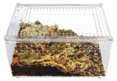 Acrylic Enclosure Terrarium Large 12”(L) x 8”(W) x 6”(H) Reptile, Snake, Spider