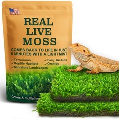 Live Moss for Terrarium Bedding & Reptile Enclosures
