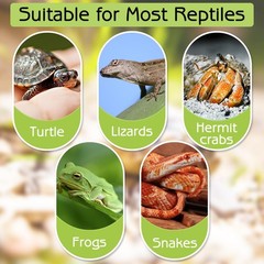 Tortoise Water Dish With Ramp Basking Platform Reptile Bowl Turtle Tub White