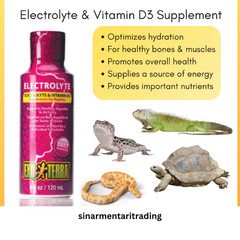 Exo Terra Reptile Supplement Electrolyte Vitamin D3 Healty Bone Growth Muscles