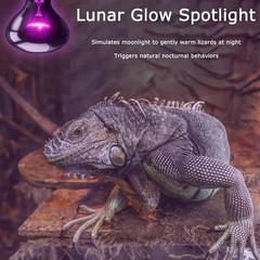 100W Reptile Night Light Bulb – UVA Heat Lamp with Moonlight Simulation