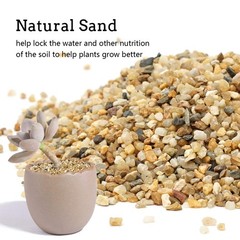 Coarse Sand Stone – Silica Sand for Plants, Soil Cover Succulents and Cactus Bon