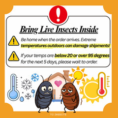 200 Best Live Feeder Insects Dubia Roaches