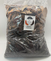 Millepede substrate-1 Gallon