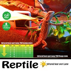Infrared Heat Lamp Bulbs 75W 2 Pack,Red Basking Spot Light Bulb Reptile Heati…