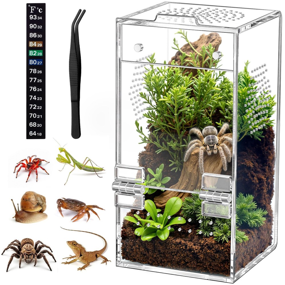 Jumping Spider Enclosure Acrylic Habitat Magnetic Door 3.5×3.5×7 Vent
