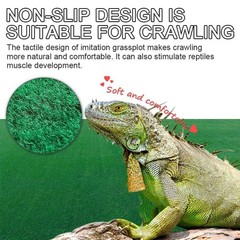 Reptile Carpet 39.4 X 19.7 Terrarium Bedding for Bearded Dragon Lizard