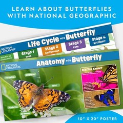 NATIONAL GEOGRAPHIC Butterfly Growing Kit Habitat Cage 5 Caterpillars to Red…