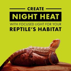 Zilla Incandescent Spot Bulb For Reptiles Night Red Terrarium Heat Light Bulb