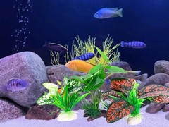 Reptile Artificial Plants 3PCS Terrarium Plants Aquarium Plants Decorations f…