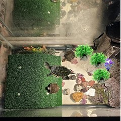 Turtle Resting Basking Platform with Artificial Grass for Tortoise and Frog