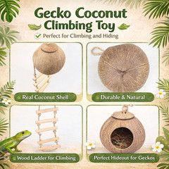Crested Gecko Tank Accessories, Reptile Hanging Plants Vines