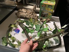 20 gallon terrarium with accessories