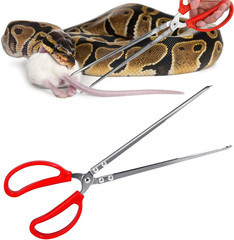 Snake Feeding Tongs,15 Inch Reptile Feeding Tongs,Extra Long Large Tweezers