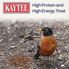 Kaytee Wild Bird Food Mealworms For Bluebirds, Wrens, 2 Pound (Pack of 1)