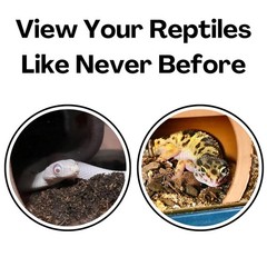 Reptile Underground Cave Viewing Hide Hognose Snake Leopard Gecko Habitat