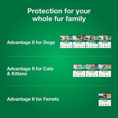 Ferret Flea Treatment Topical Prevention 1+ lbs 2 Month Supply Water-Resistant