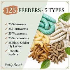 Super Wormy Sampler 5 Types of Worms 125ct Live Feeder Insects | FREE SHIPPING