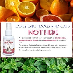 Dog Not Here & Here Potty Training Spray Kit, Puppy Essentials. Pee Here Corr…