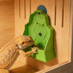 Reptile Feeding Bowl, Feeder for Reptile,Reptile Corner Feeder with Suction Cups