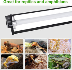 Aiicioo T5 HO UVB Reptile Light Fixture 10.0 8W Light Combo Kit 12 Inch Light Fi