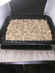 Organic Sterile Vermiculite for Terrariums Planting and incubators