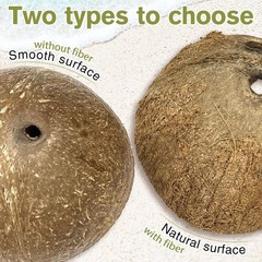 Reptile Hideouts 7 Pcs Coconut Shells 4.5″ Diameter for Gecko Lizard – Natural