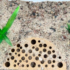 Shrimp Breeding Protector | Shrimp Breeding Cave Aquarium Tunnel | (Light Brown)