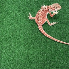 Terrarium Substrate Liner Reptile Carpet with Strong Water Absorption for Lizard